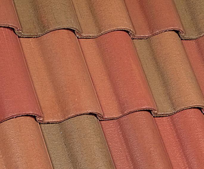 Mediterránea | Nueva España