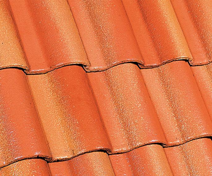 Mediterránea | Rayo de Sol