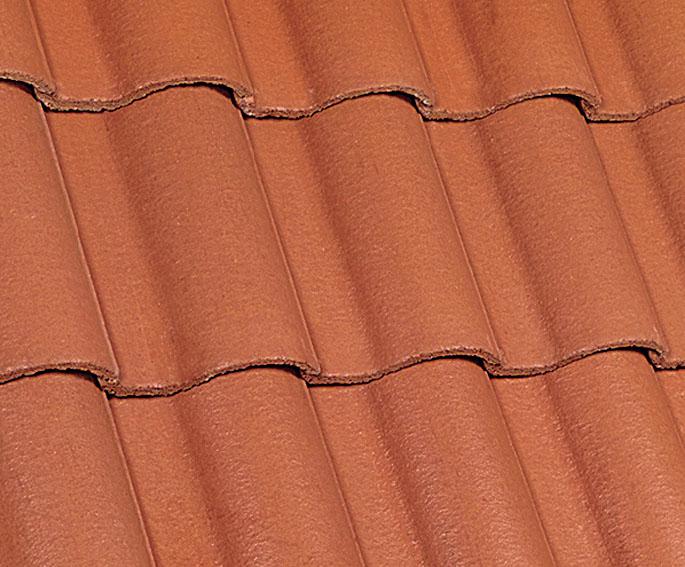 Mediterránea | Misión Terracota