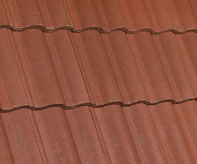 Catalana | Rojo Bugambilia